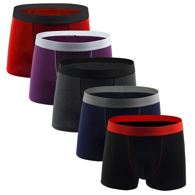 5pcs Men Cotton Boxer Shorts