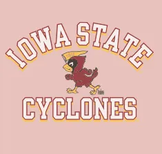 Blond Genius - Pink Edition Iowa State Cyclones Crewneck Sweatshirt in Chintz Rose