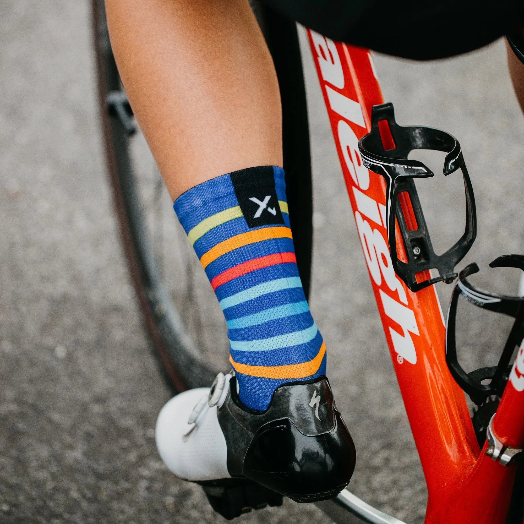 Sox Sunset Crew Length Socks